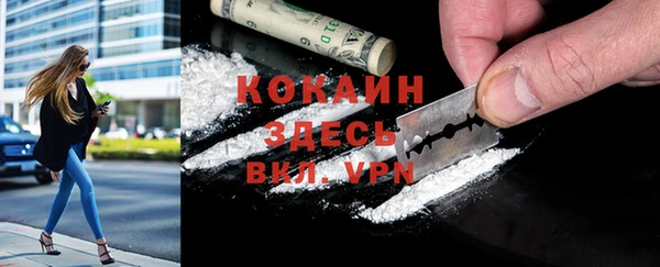сатива Верея