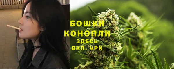 соль ск Волосово