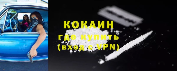 соль ск Волосово