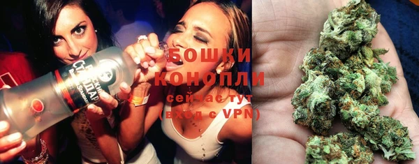 соль ск Волосово