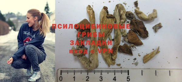 прущий лед Володарск